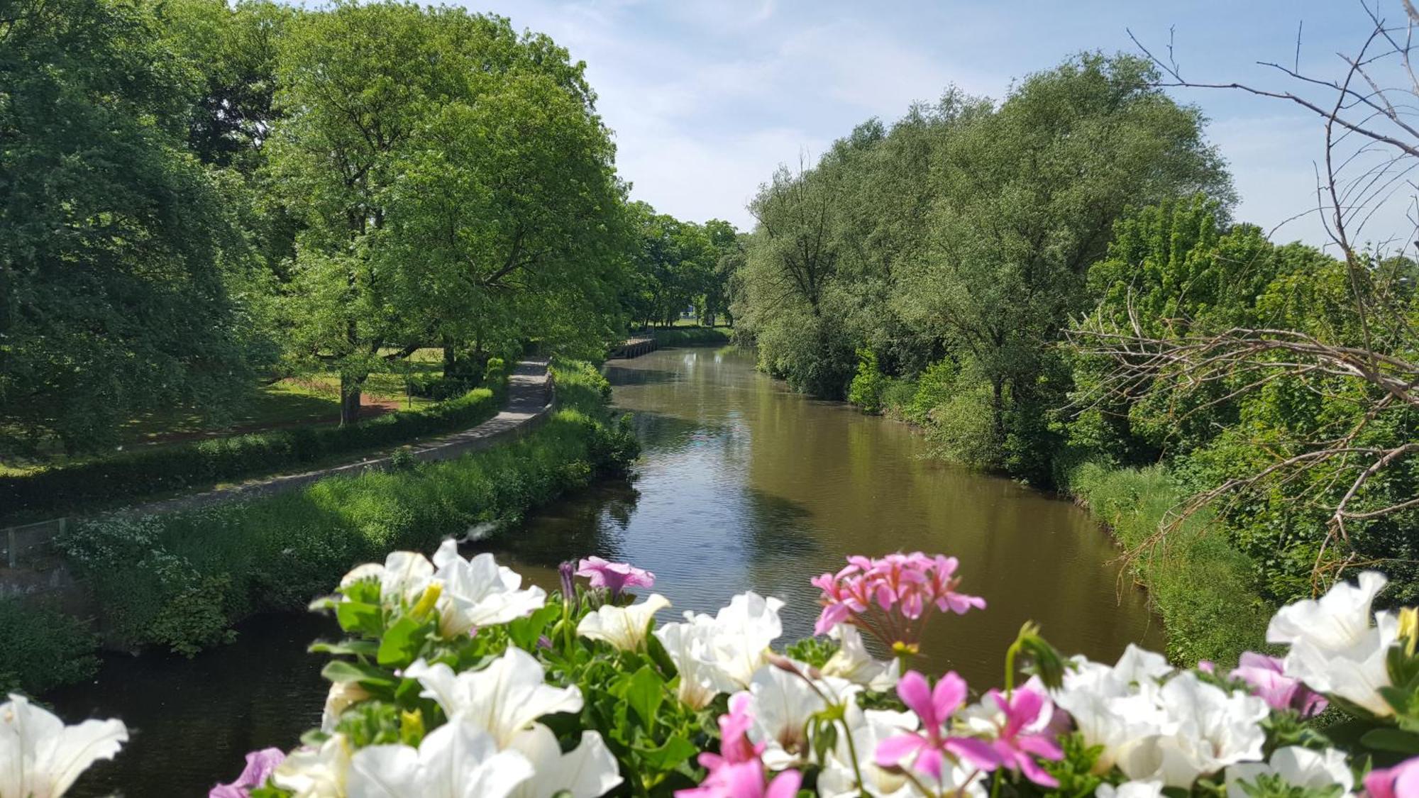 B&B Krieken De Jour Ninove Kültér fotó