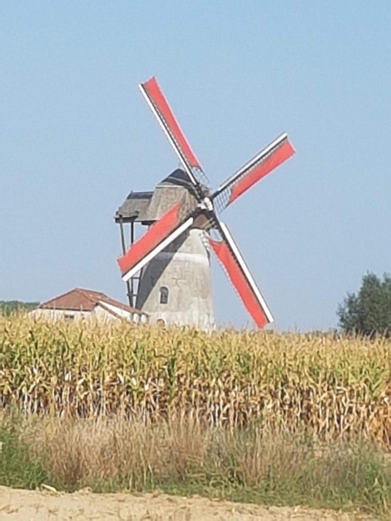 B&B Krieken De Jour Ninove Kültér fotó